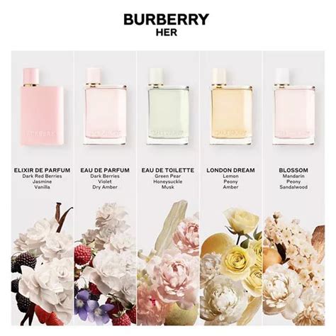 burberry her note olfattive|burberry her scent notes.